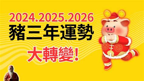 豬年運程|2025 肖豬流年運程 